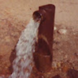 Meet your Posher, Adam